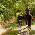 Am Hinrichsberg Unten * Staberdorf