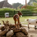 Lägenhet Am Hinrichsberg Unten *