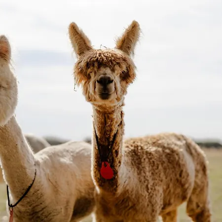 Am Hinrichsberg Unten Appartement *