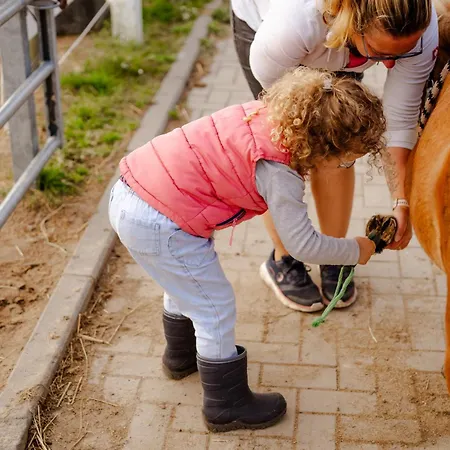 Am Hinrichsberg Unten * Staberdorf