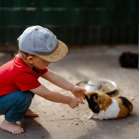 דירה Am Hinrichsberg Unten