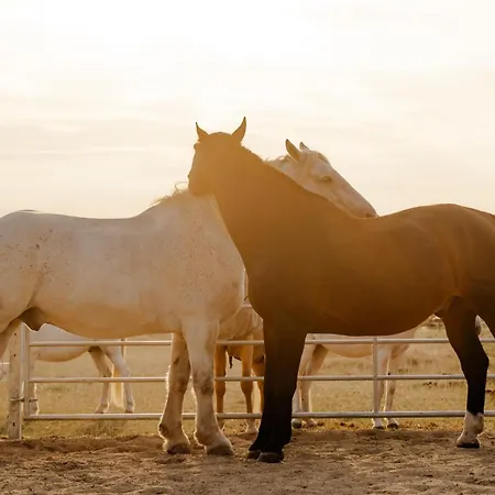 Am Hinrichsberg Unten Staberdorf