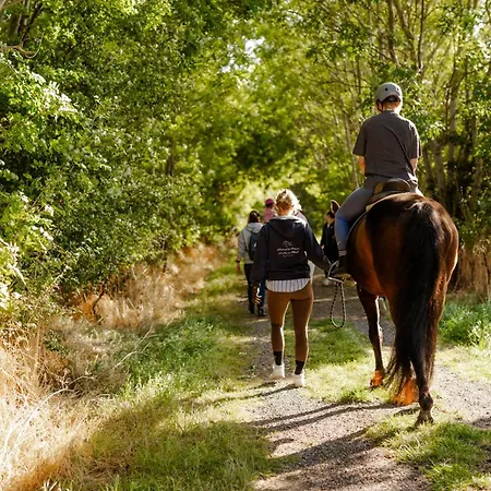 Am Hinrichsberg Unten * Staberdorf