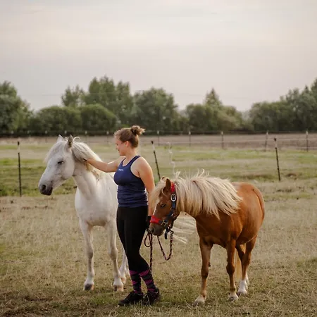 Am Hinrichsberg Unten * Staberdorf