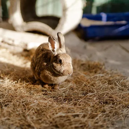 Am Hinrichsberg Unten