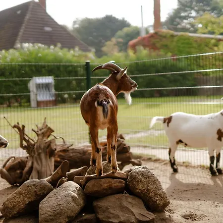 דירה Am Hinrichsberg Unten *