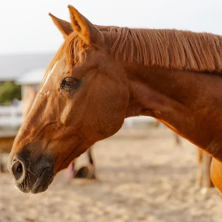 Appartement Am Hinrichsberg Unten