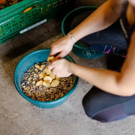 Appartement Am Hinrichsberg Unten *