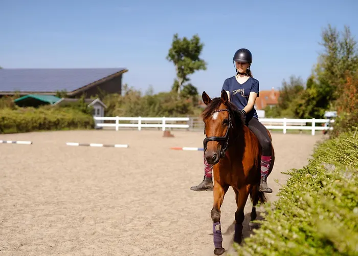 Apartamento Am Hinrichsberg Unten *