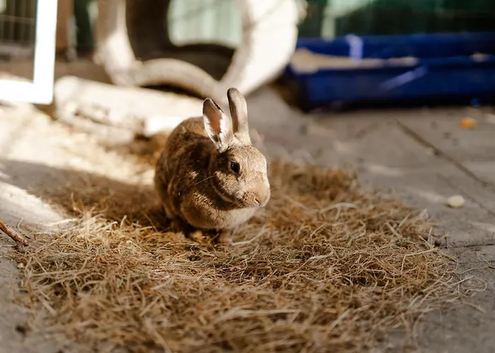 Am Hinrichsberg Unten