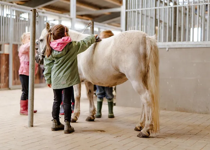 Apartamento Am Hinrichsberg Unten *