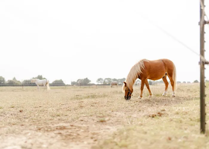 Am Hinrichsberg Unten * Staberdorf